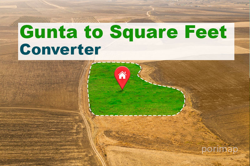 Gunta to Square Feet Converter,Convert Gunta to Square Feet,Gunta to Square Feet Calculator,Land Measurement Converter,Gunta to Acre Converter,Gunta to Hectare Converter,Gunta to Bigha Converter,Online Land Area Converter,Square Feet to Gunta Converter,Land Measurement Tool,Gunta to Square Feet Formula,How to Convert Gunta to Square Feet,Gunta to Square Feet Conversion Chart,Land Area Conversion Tool,Gunta to Square Feet Online Calculator,Best Gunta to Square Feet Converter,Gunta to Square Feet App,Land Measurement Conversion Table,Gunta to Square Feet Conversion Formula,Gunta to Square Feet Free Tool,Gunta to Square Feet Step-by-Step Guide,Gunta to Square Feet for Real Estate,Gunta to Square Feet for Construction,Gunta to Square Feet for Farmers,Gunta to Square Feet for Landowners